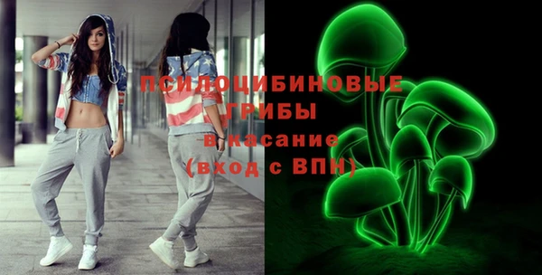 скорость Богородицк